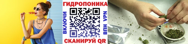 Конопля планчик  где купить наркоту  Сергач 